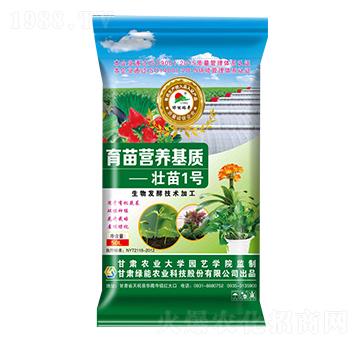 ������|-����1̖-�G��