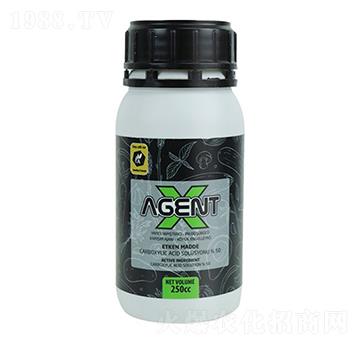 Agent X-�ָ���