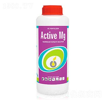 Active Mg-�ָ���