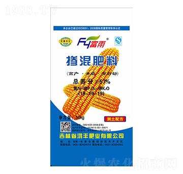 �������19-19-19-����-���S�ʘI(y��)