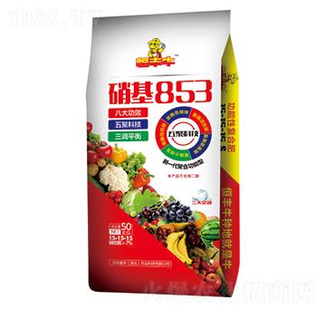 ����853���ܷ�15-15-15-���Sţ-�P�����d