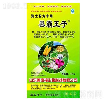 40kg�ڰ�����-�W�¸�