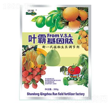 �~�Ի�����-��(r��n)�����