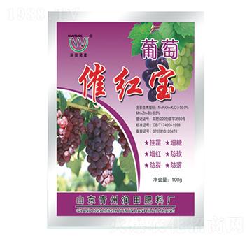 ���Ѵ߼t��-��(r��n)�����