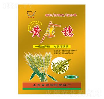 �S�����~���-��(r��n)�����