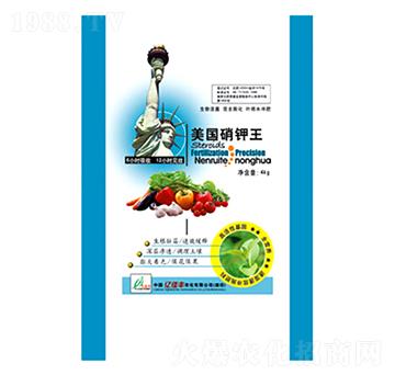 ���������-�|���S