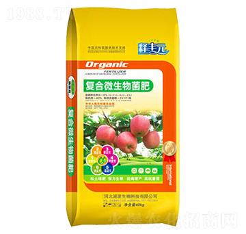 �O�����÷ʏ�(f��)��΢�������-���l(f��)����