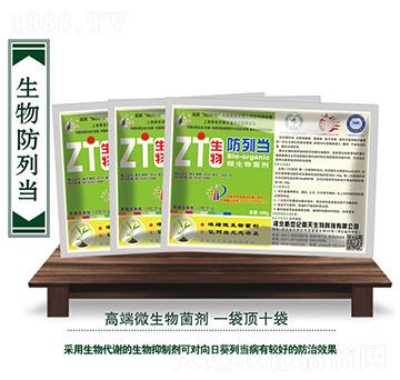 ΢�������-���Ю�-��������