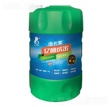 ΢���������ޏ�(f��)��-�|��