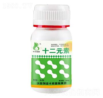 ʮ��Ԫ�أ�300g��-