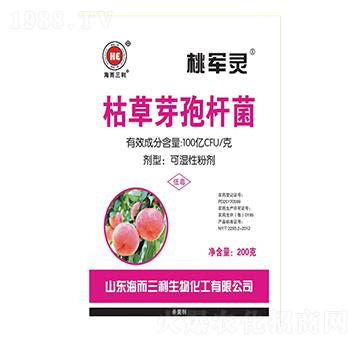 �ݲ�ѿ�ߗU��-��܊�`-��������