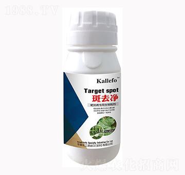 �а߲���(zhu��n)�������Ƅ�