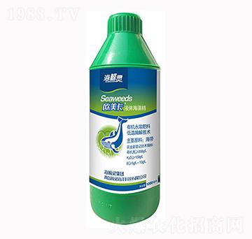 ���徫-�W����-�L�`