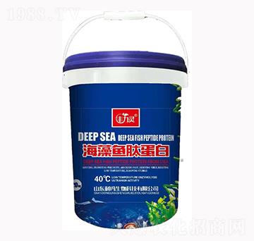 �����~(y��)�ĵ���-�S���`-��������