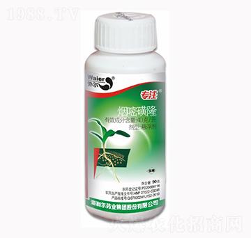 ���׻�¡-��ע-������