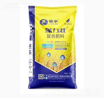 �����яͺϷ���19-5-7-����