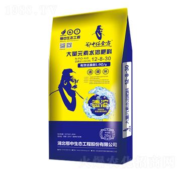 ����Ԫ��ˮ�ܷ�12-8-30-���зʘI(y��)