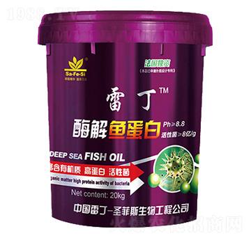 ø���~����-�׶�-ʥ��˹