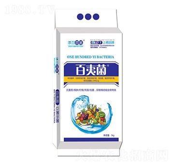 ����������{(di��o)�턩-���ľ�-�A�����Z