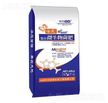 �ͺ�΢�������-�A�����Z