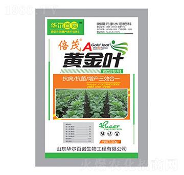 �S�������~���-�S���~-�A�����Z