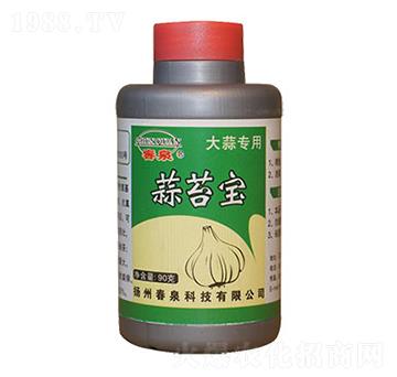 ��̦��-��Ȫ