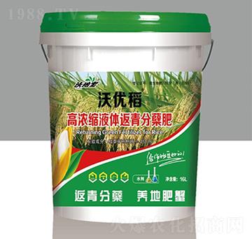 �ߝ�sҺ�w������Y��-�փ�(y��u)��-�ֵ،�