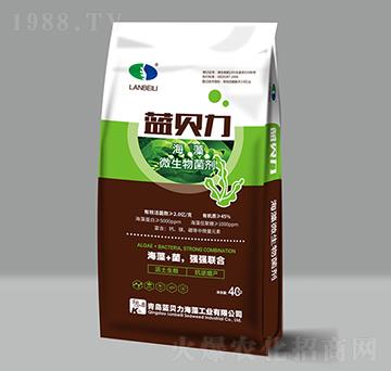 ����΢�������-�{ؐ��