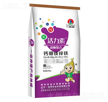 �������}���V�\�F-һ����