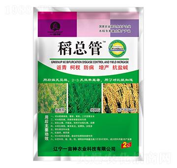 ������-һ����