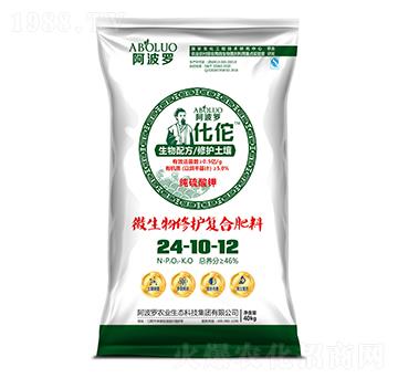 ��٢΢�����ޏ͏ͺϷ���24-10-12-�����_