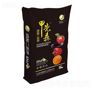 ��������-����ɭ-���{(l��n)����