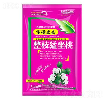 ��֦������-����