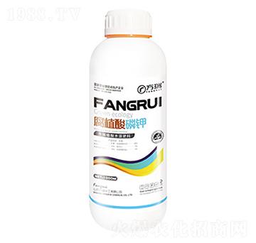 1000ml��ֲ�����-����