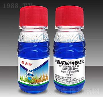 10%�����@��@�}-�;��z��120g��-��Խ����