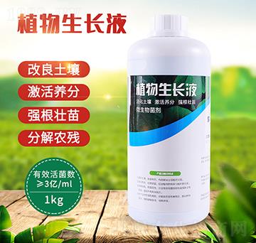 ֲ�����L(zh��ng)Һ-��(r��n)��