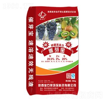 ��ѿ���\���p����-��ʯ�R