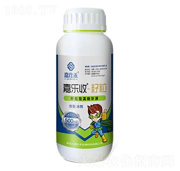 ����M���AҺ-�Θ�(l��)��-���˺�