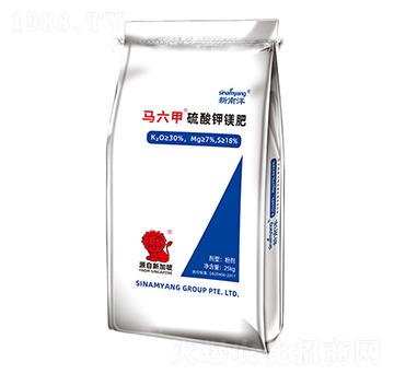 �R����������V��-Сħ��