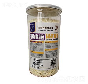 �����}-�Ȭ����H��