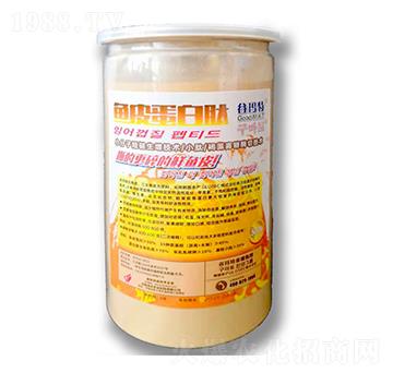 �~Ƥ������-�Ȭ����H��