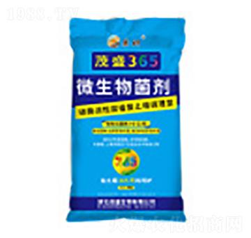 ΢�������-ïʢ365-ïʢ����