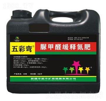 ���ȩ��ጵ���-��ʏ�-�A���еV