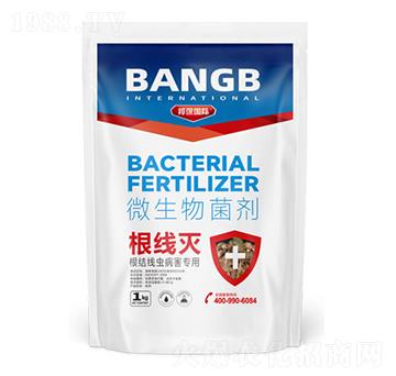 ���Y(ji��)���x��������΢�������-������-����H