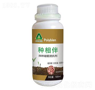 ��N�����T����-��(��i)����