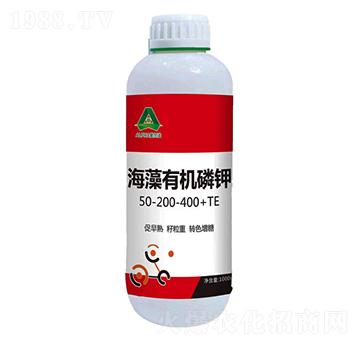 �����ЙC(j��)���-�۠���