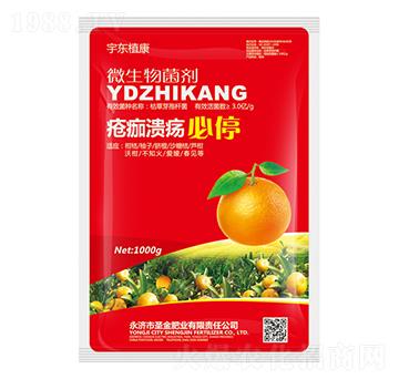 ΢�������-���蝢����ͣ-��|ֲ��-ʥ��ʘI(y��)