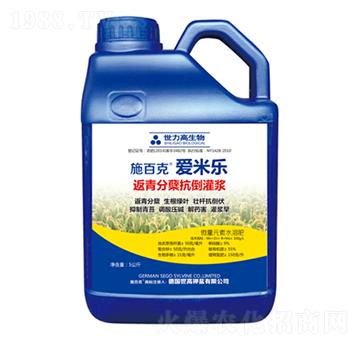 ������Y�������{-ʩ�ٿˡ���(��i)�ט�(l��)-����������