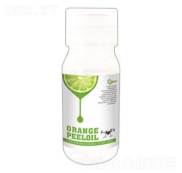 ��Ƥ����-�����r�I(y��)