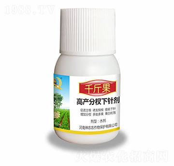 ������辄�-ǧ���-�������r(n��ng)